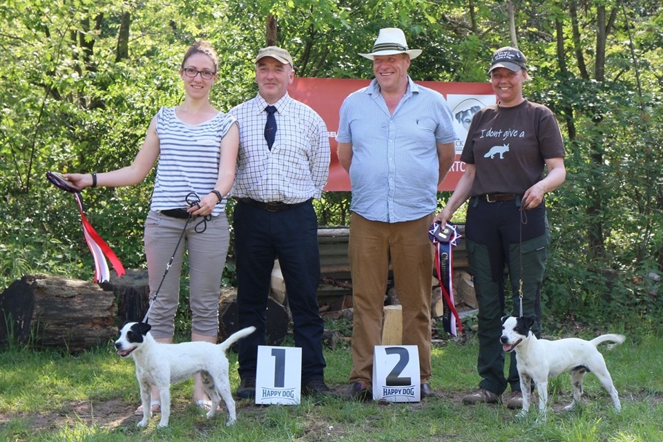 Show Resultater Jack Russell Terrier Club of Denmark 2019