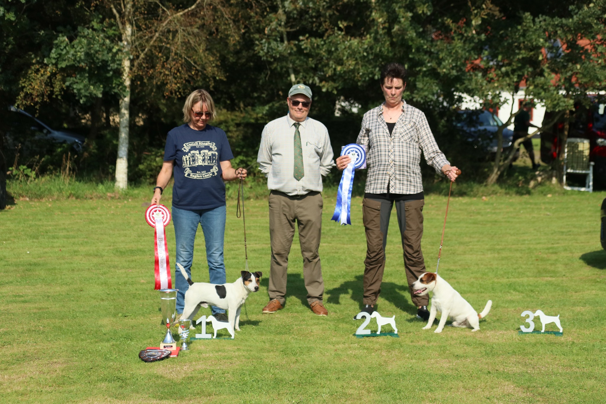 Klasse 38: Best in Show 1: Top Noch Vikke 2: Straight Up Hugo